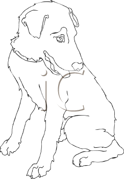 Pet Clipart