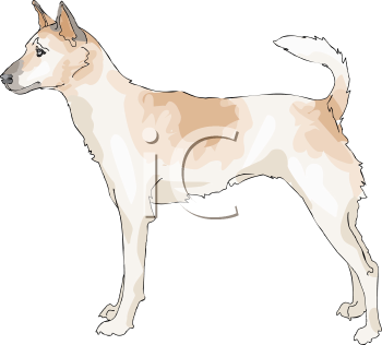 Dog Clipart