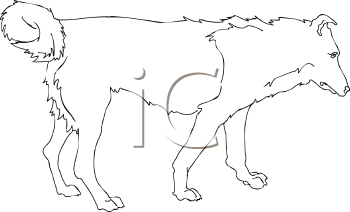 Dog Clipart
