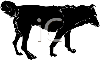 Pet Clipart