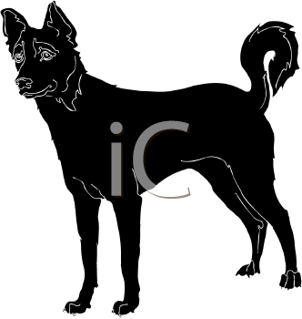 Pet Clipart