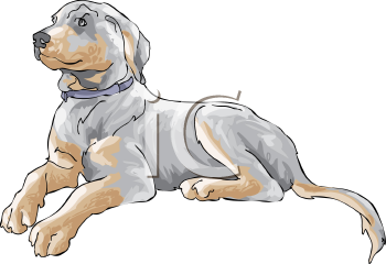 Dog Clipart