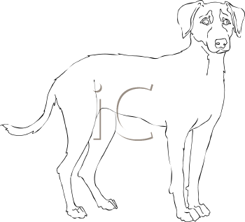 Dog Clipart