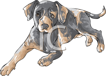 Pet Clipart