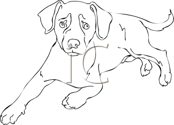 Farm Animal Clipart