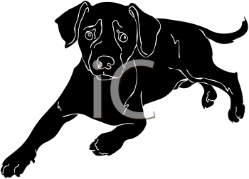 Big Cat Clipart
