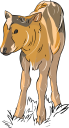 Farm Animal Clipart