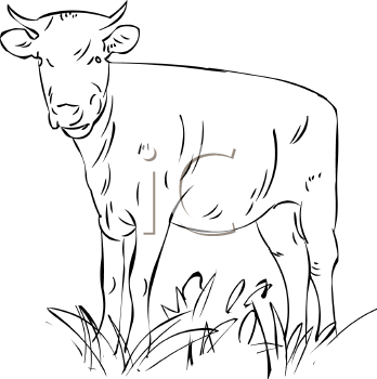 Farm Animal Clipart