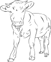 Farm Animal Clipart