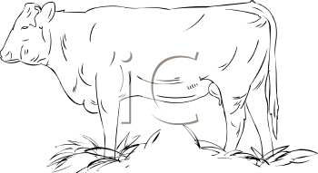 Farm Animal Clipart