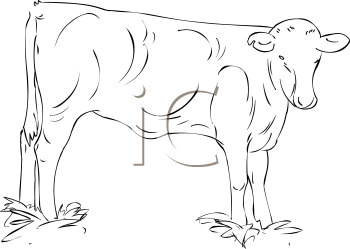 Farm Animal Clipart