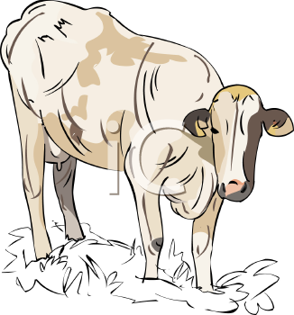 Farm Animal Clipart