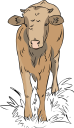Farm Animal Clipart