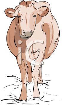 Farm Animal Clipart