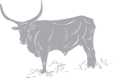 Farm Animal Clipart