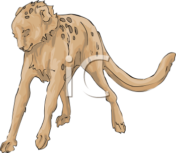 Big Cat Clipart