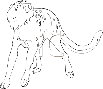 Big Cat Clipart