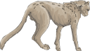 Big Cat Clipart