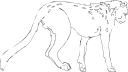 Big Cat Clipart