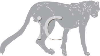 Big Cat Clipart