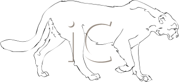 Big Cat Clipart