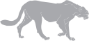 Big Cat Clipart