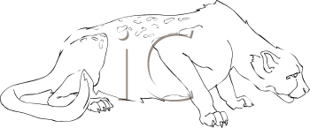 Big Cat Clipart