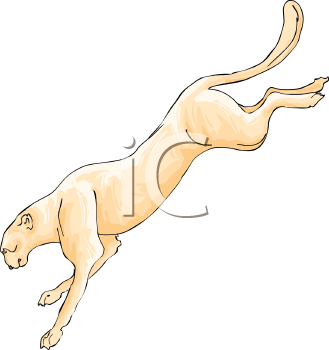 Big Cat Clipart