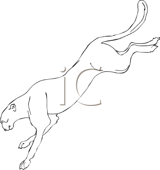 Big Cat Clipart