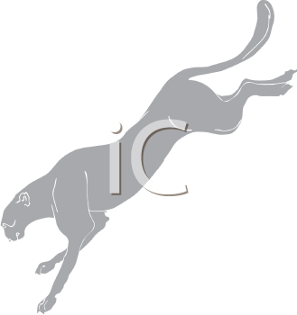 Big Cat Clipart