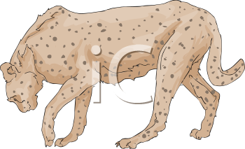 Big Cat Clipart