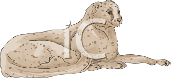Big Cat Clipart