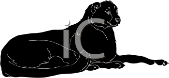 Big Cat Clipart
