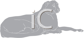 Big Cat Clipart