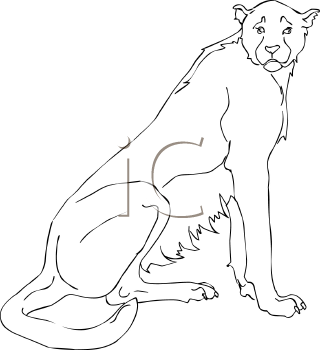 Big Cat Clipart