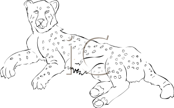 Big Cat Clipart