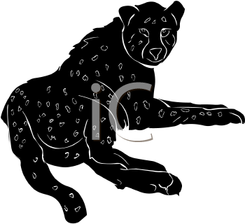Big Cat Clipart
