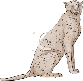 Big Cat Clipart