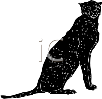 Big Cat Clipart