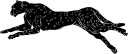 Big Cat Clipart