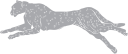 Big Cat Clipart