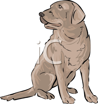 Pet Clipart