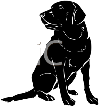 Pet Clipart