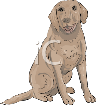 Dog Clipart