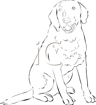 Pet Clipart