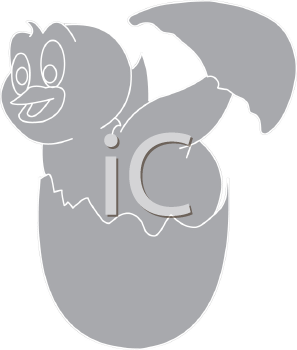 Bird Clipart