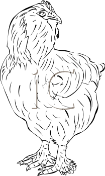 Bird Clipart