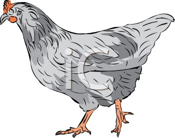 Farm Animal Clipart
