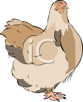 Farm Animal Clipart