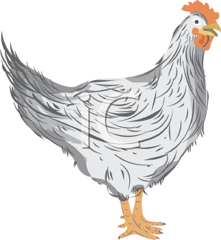 Farm Animal Clipart